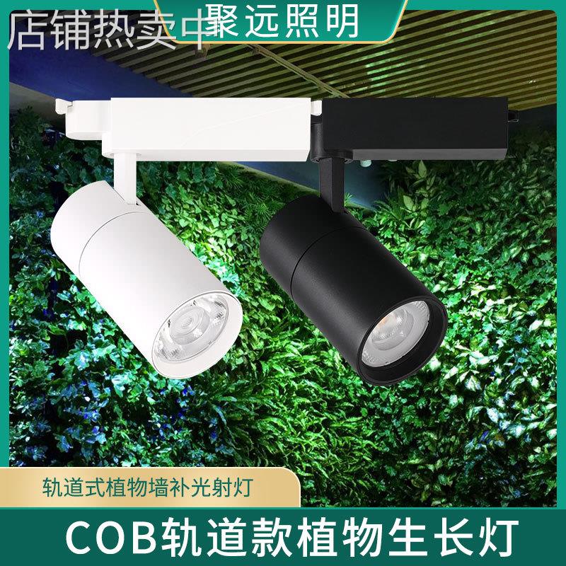 led植物轨道补光灯 室内全光谱植被墙生长灯 30w绿植生长补光灯