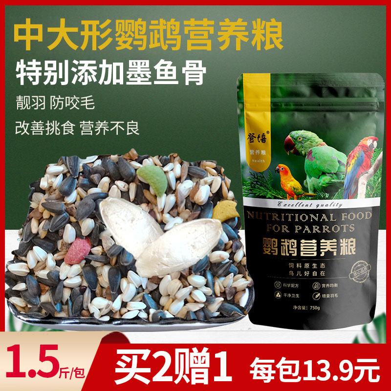 中大型亚历折衷葵花包邮灰鹦鹉