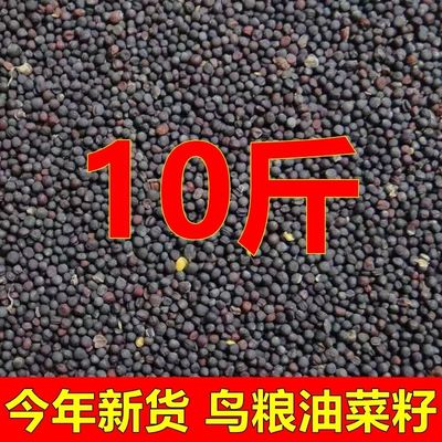 10斤油菜籽鸟食虎皮牡丹玄凤鹦鹉文鸟珍珠白燕芙蓉鸟玉鸟饲料鸟粮