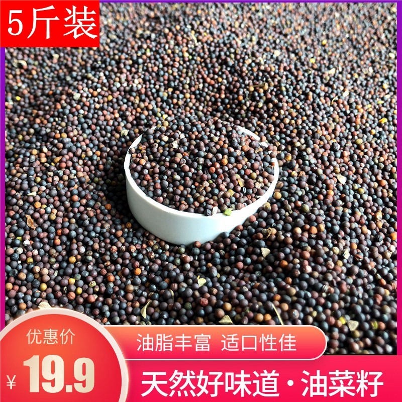 油菜籽鸟食登培鹦鹉玉鸟