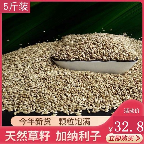 进口加纳利子鹦鹉鸟食玄凤牡丹