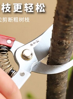 汪吾铨园林园艺剪刀园丁剪花枝修剪树枝剪刀果枝剪修花剪刀修枝剪