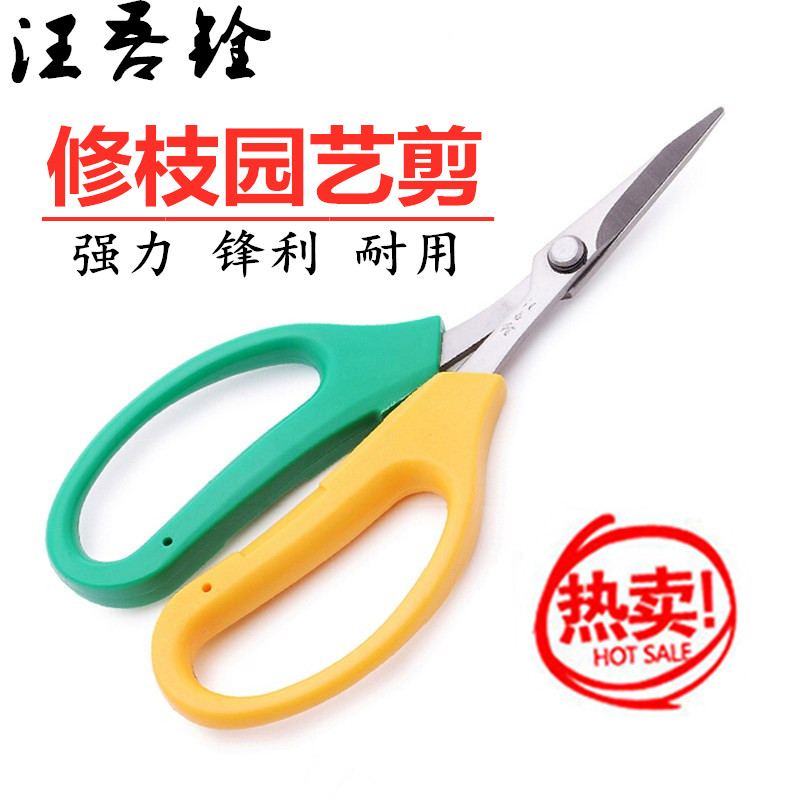 汪吾铨剪刀园艺用剪刀修果树枝多功能家用盆景修理剪葡萄正品包邮