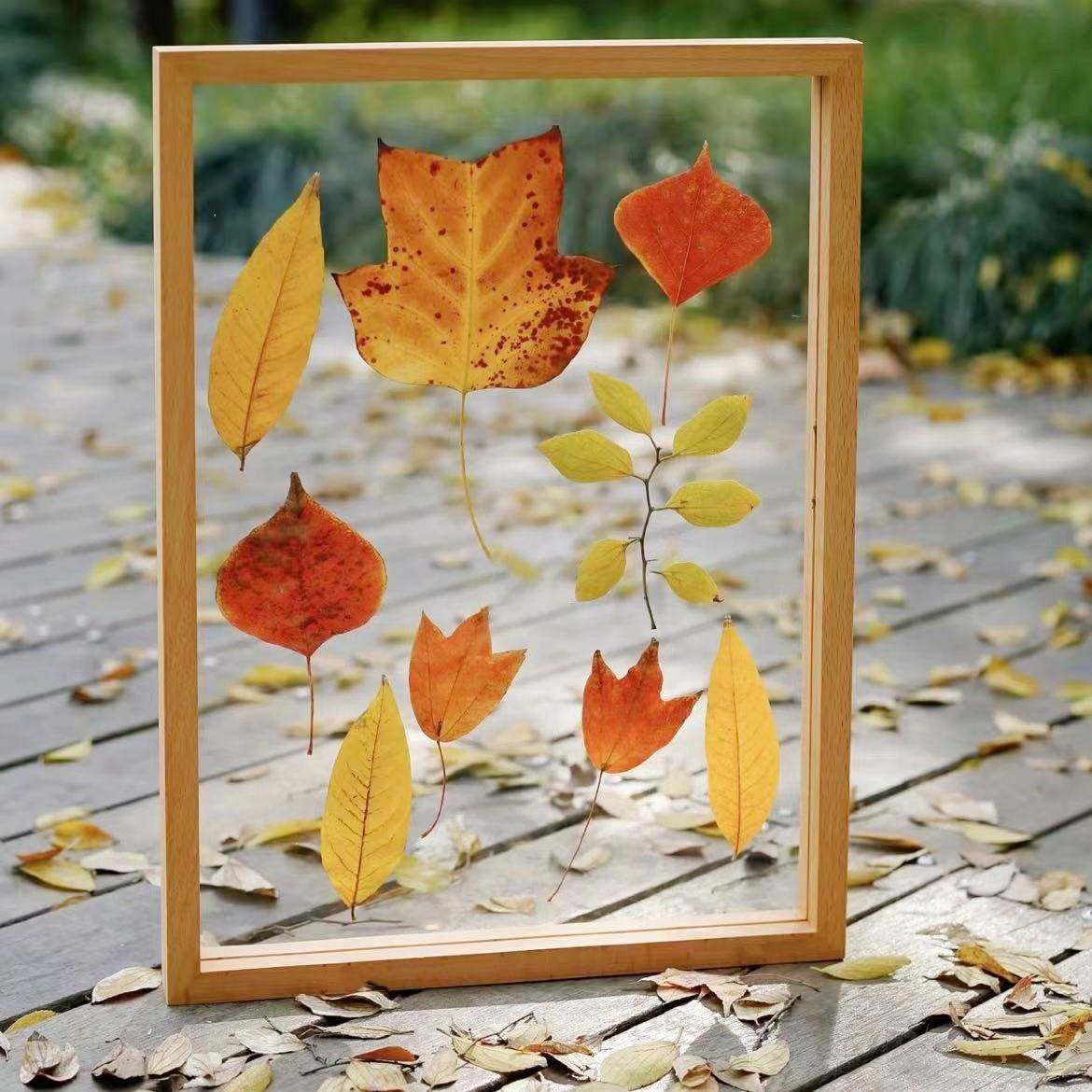 树叶标本压花相框立体创意双面透明亚克力手工木质画框摆台,家居饰品,DIY亲子装饰画,淘宝优惠券,粉丝福利购,淘宝优惠卷