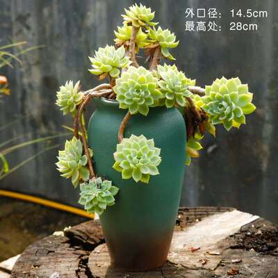 多款大小老桩陶瓷粗陶大口径