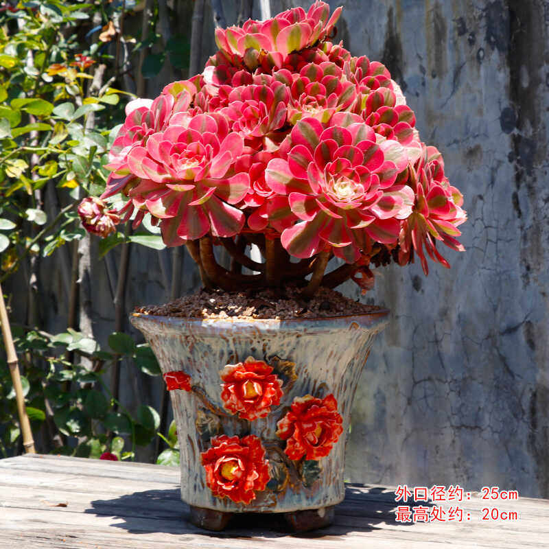 麦饭石手绘手捏花盆粗颗粒多肉花盆老桩盆拼盘群生盆精美