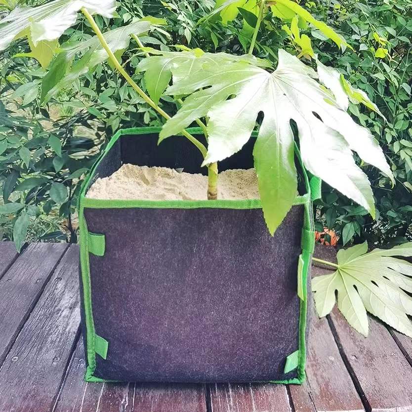 环保无纺布美植袋长方形种菜