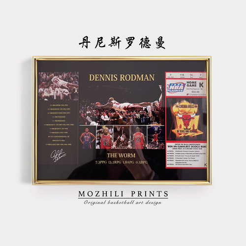 罗德曼生涯荣誉照片铝合金相框