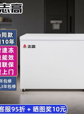 志高大容量冰柜家用商用