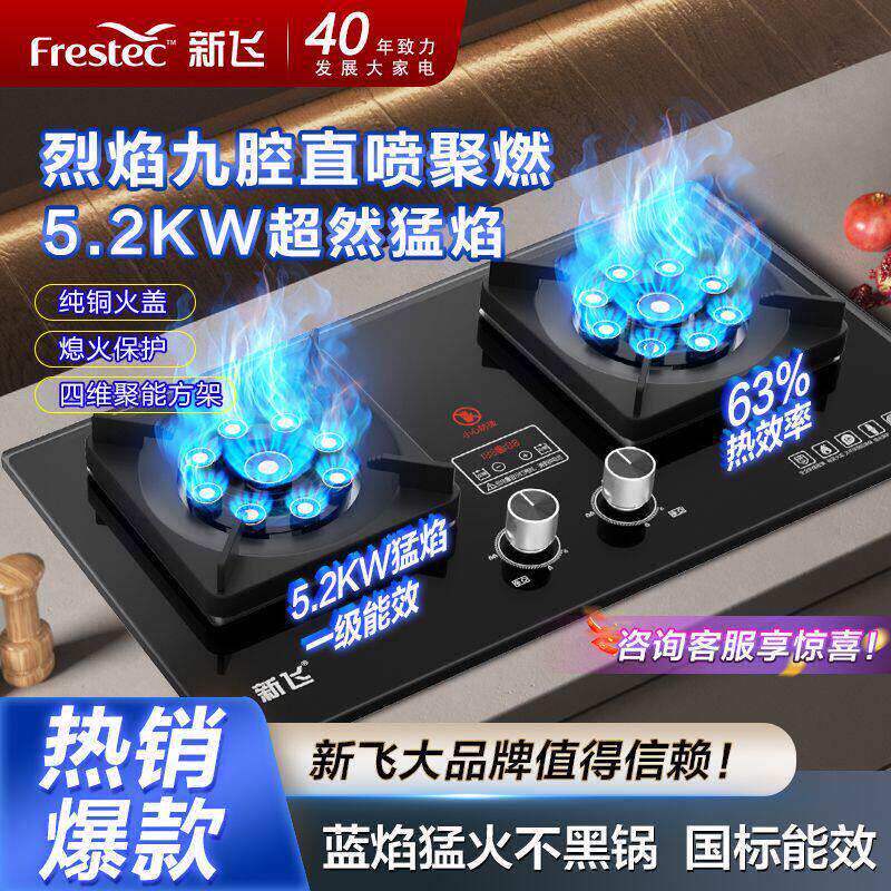 新飞煤气灶双灶头家用大火力