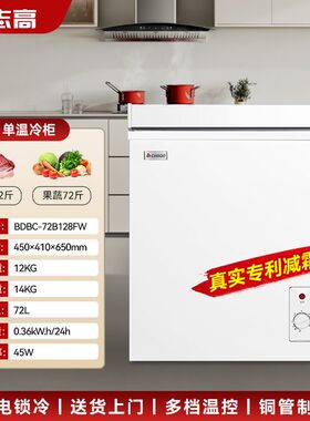 志高小冷柜家用铜管制冻