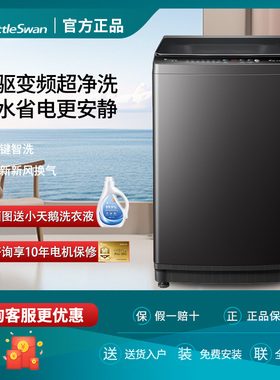 小天鹅直驱变频全自动10公斤大容量波轮洗衣机租房家用TB100V26DT
