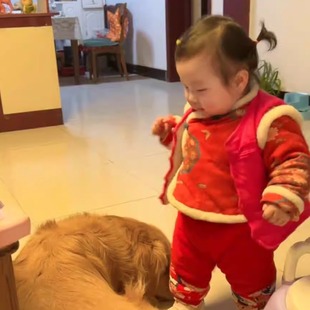 拜年服婴儿冬季 宝宝棉花棉袄棉裤 分体两件套国风唐装 过年衣服套装