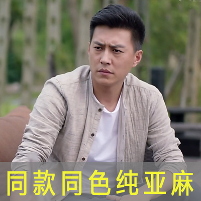 正品欢乐颂老谭同款春秋潮流男士纯亚麻衬衣立领薄款棉麻长袖衬衫