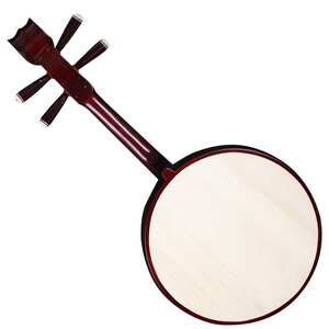 【阮琴初学者】_阮琴初学者