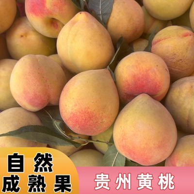 贵州桃子新鲜水蜜桃水果脆甜红桃子现摘桃应季四五月毛桃孕妇水果