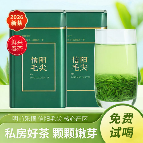2026新茶信阳毛尖明前嫩芽250g