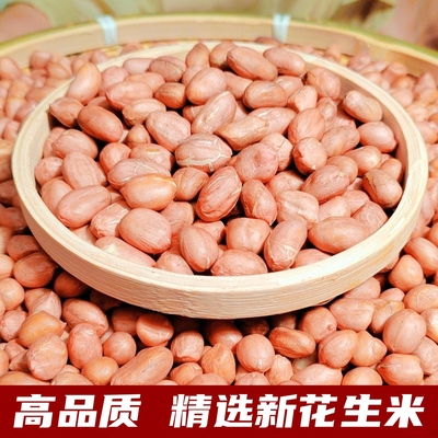 2025年新鲜花生米大颗粒新上市河南农家自产优质白沙生花生仁榨油