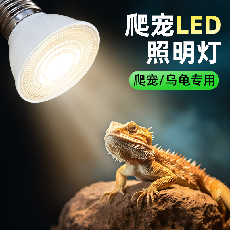 LED照明灯泡，多种爬宠适用图片