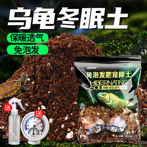 乌龟冬天保暖冬眠土乌龟冬眠用品