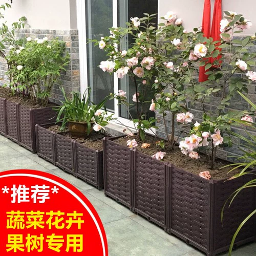 Посадка артефактов Extra Bowlo растительные коробки Семейство Семейство прямоугольные семена цветок цветок бассейн бассейн