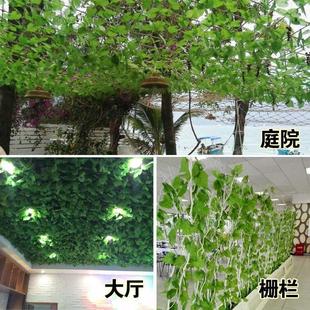 饰花藤绿植挂饰造景仿真植物悬挂落地藤条树叶藤叶藤蔓绿化屏风 装