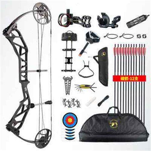 促销2023顶点t1轴承版新手入门复合弓箭射击运动成人竞技比赛射箭