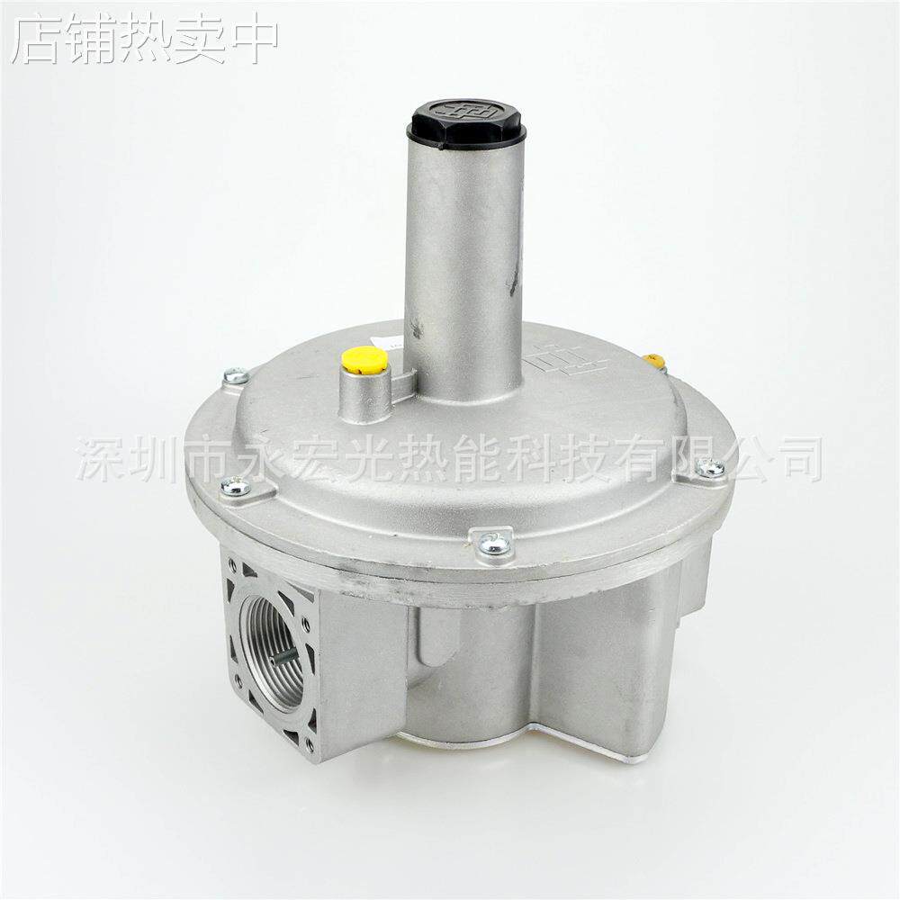 FSDR80稳压阀朱丽安尼GIULIANI燃气调压阀原装燃烧机配件供应商