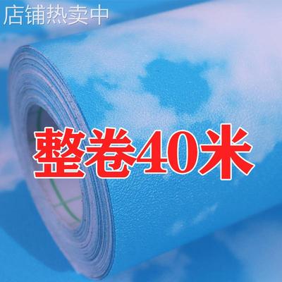 天花板贴纸自粘蓝天白云防水儿童房贴画客厅吊顶屋顶装饰3D墙壁纸