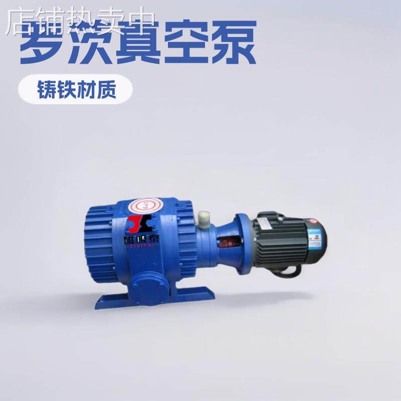 长沙ZJ三叶罗茨真空泵 严格选材 高效节能真空过滤厂ZJP30L罗茨泵