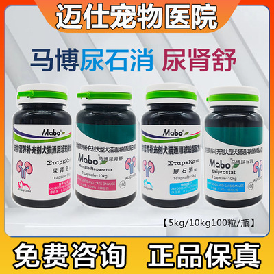 结石尿频尿学膀胱炎养护