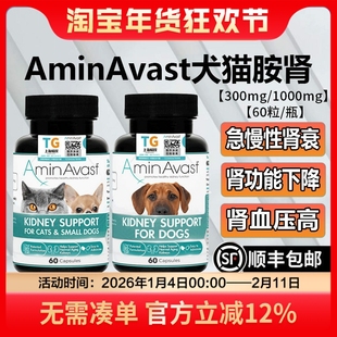 胺肾美国肾衰停猫狗肾脏降肌酐尿素氮宠物慢急性肾衰竭猫咪肾衰药