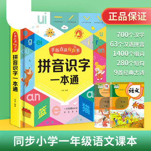 一年级拼音学习神器儿童识字幼儿园认字卡片早教有声点读挂图发声