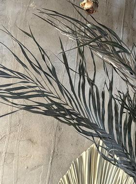 天然风干散尾癸叶子风干花配花森系婚庆造景布置材料家居店铺装饰