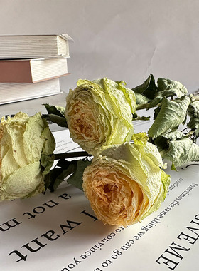 玫瑰干花花束真花相框创意DIY家居店铺造型软装饰拍照道具插花