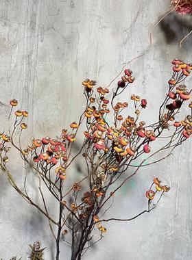 天然蔷薇果干花花束真花家居民宿茶社软装饰高级感diy材料复古