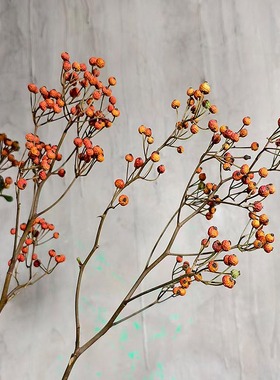 天然进口蔷薇果郁金香栀子果蔷薇果干花花束民宿复古装饰干果实