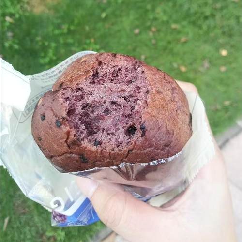 桑葚莓果包约50g/包无面粉无蔗糖面包亚麻籽高饱腹代餐早餐零食品