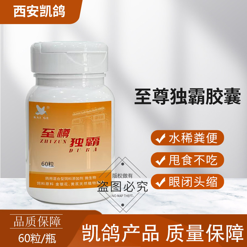 凯鸽至尊独霸信鸽子药水便绿便缩头闭眼凯哥鸽药大全专用