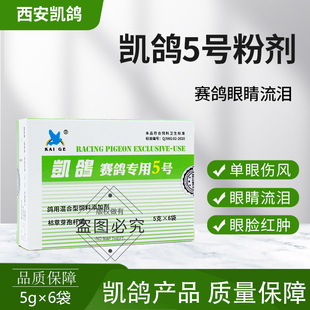 凯鸽5号五号赛鸽单眼伤风特鸽药鸽子药大全衣原体常见病凯哥鹦鹉