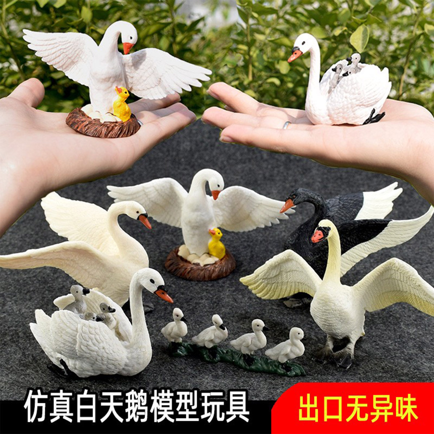 仿真天鹅模型玩具早教摆件动物图片