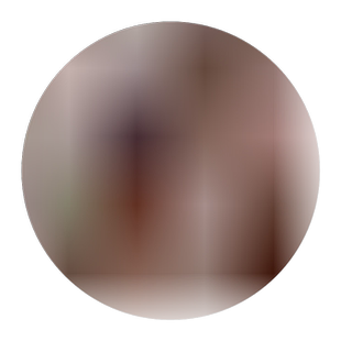 儿童仿真动物海洋玩具模型实心塑胶大白鲨三叶虫邓氏鱼抹香鲸摆件