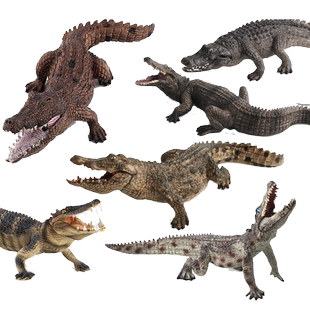 仿真鳄鱼模型动物玩具尼罗鳄扬子鳄野猪鳄短吻鳄帝鳄男孩礼物