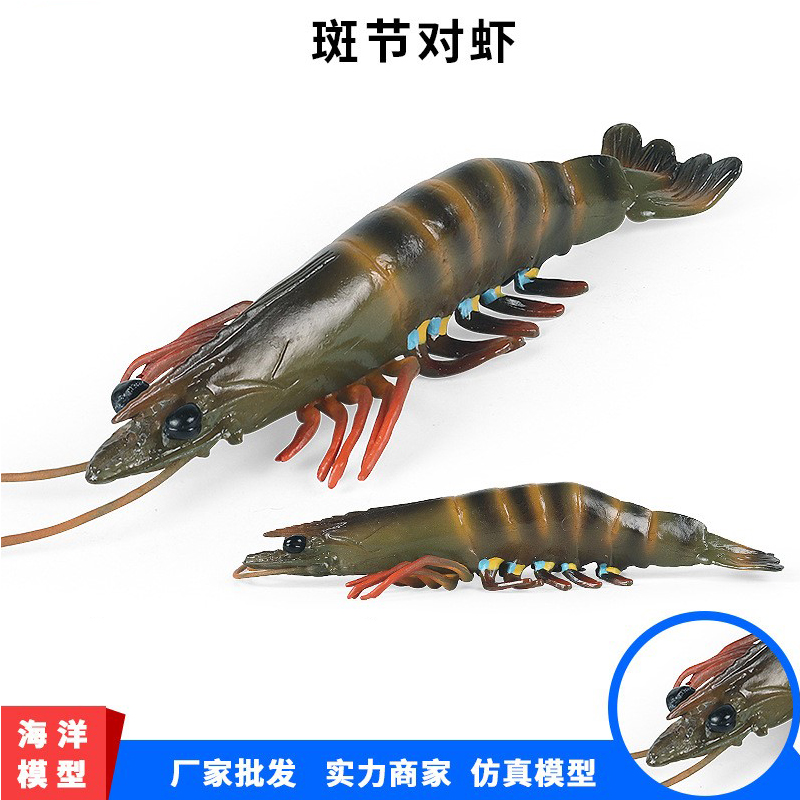 儿童早教认知斑节对虾仿真模型
