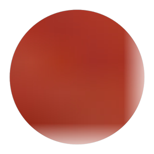 儿童科教玩偶仿真实心动物模型狐狸大白狐北极狐玩具塑胶摆件