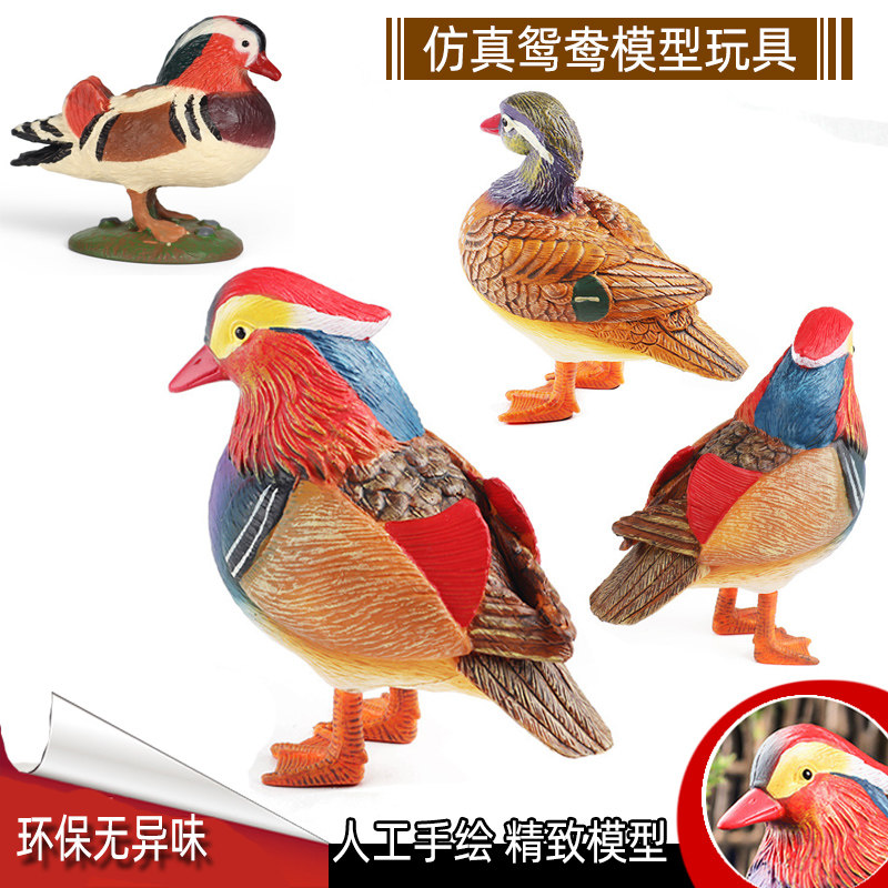 儿童仿真鸳鸯动物模型农场家禽戏水玩具游禽鸟类花园盆景装饰摆件