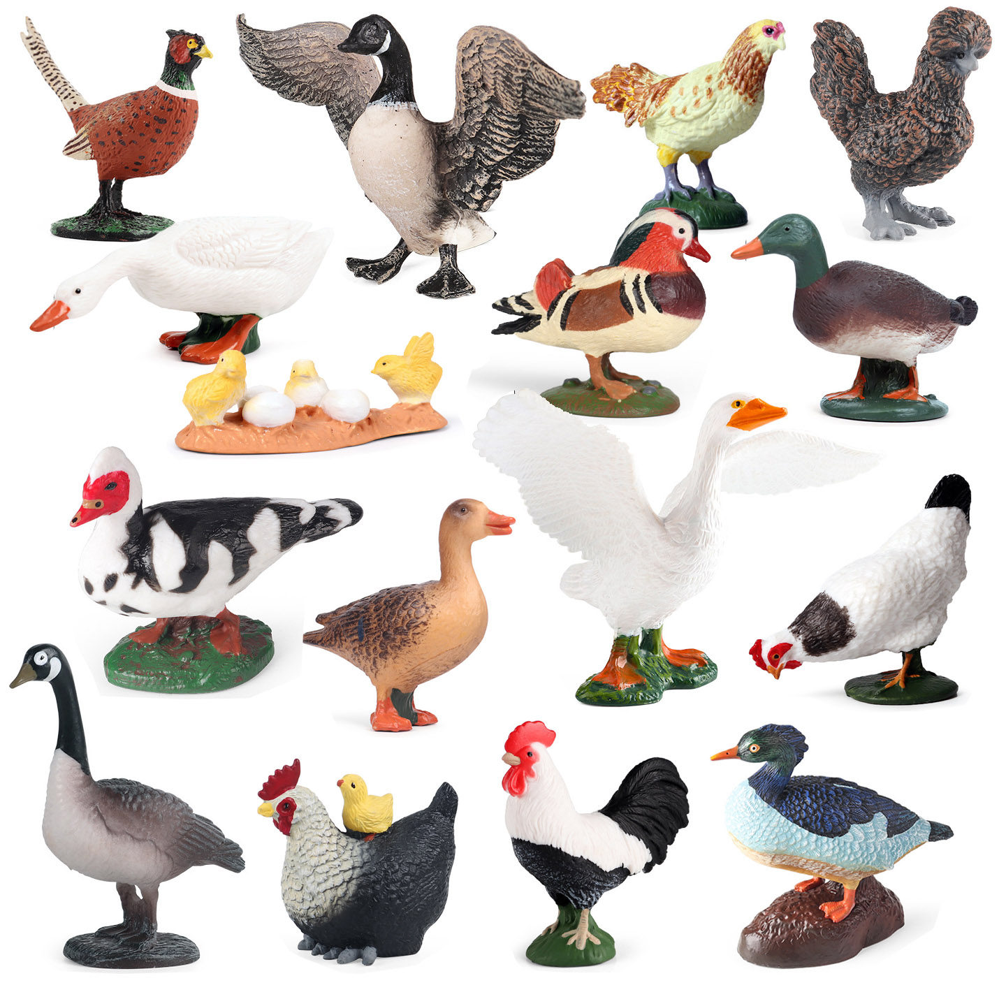 仿真农场动物模型家禽黄公鸡母鸡小鸡群鸭子天鹅斗鸡野鸡儿童玩具,玩具/童车/益智/积木/模型,仿真/动物玩偶,淘宝优惠券,粉丝福利购,淘宝优惠卷