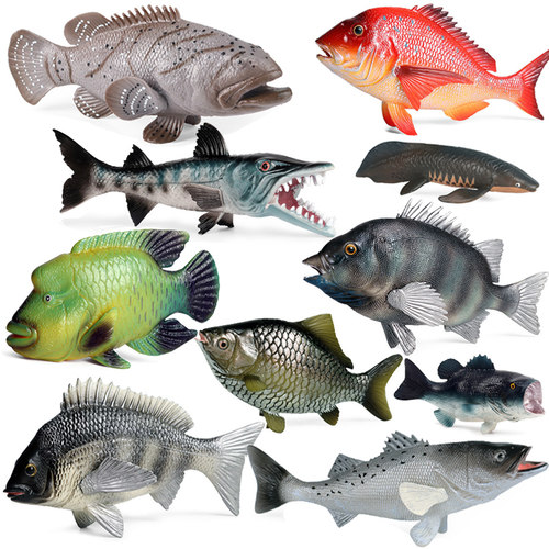 仿真热带鱼模型玩具实心塑胶材质