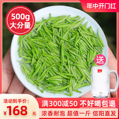 信阳毛尖2024新茶特级浓香型500g