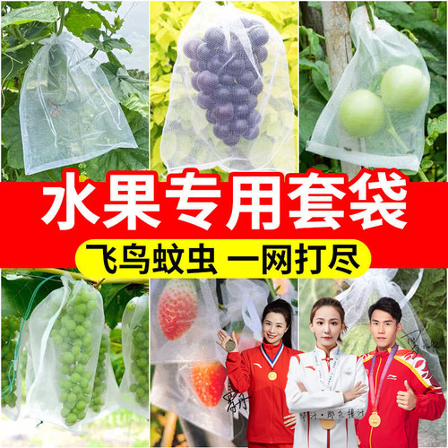 水果套袋防鸟虫专用网葡萄